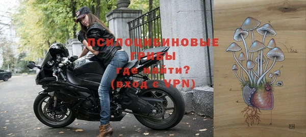 мдпв Кулебаки