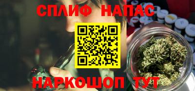 стаф Будённовск