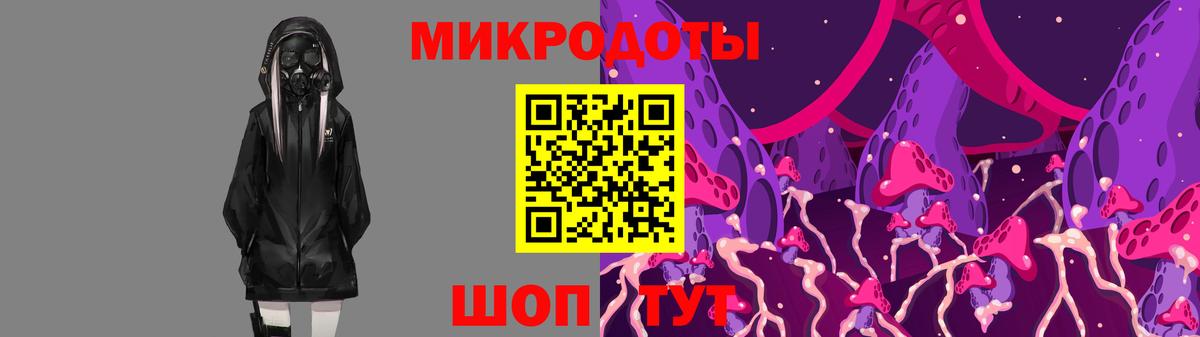 Псилоцибиновые грибы Psilocybe  Энгельс 
